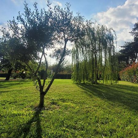 Il Giardino Di Marianna Bed & Breakfast Novi Ligure Exterior foto